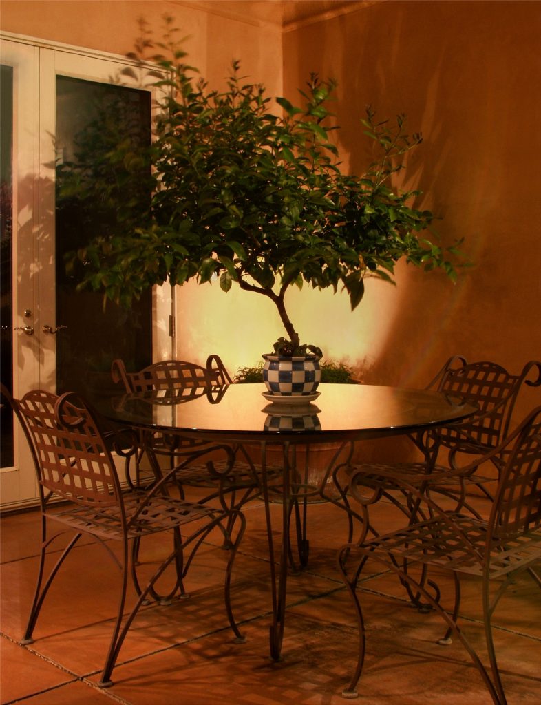 Silhouette Plant Courtyard Table